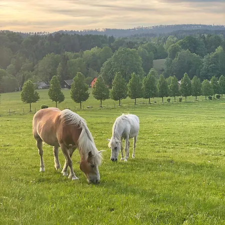 Gasthof Na Stodolci 3*