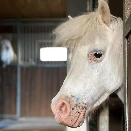 Na Stodolci Gasthof Chřibská
