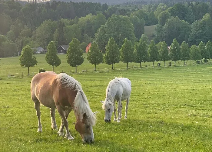 Gasthuis Na Stodolci 3*